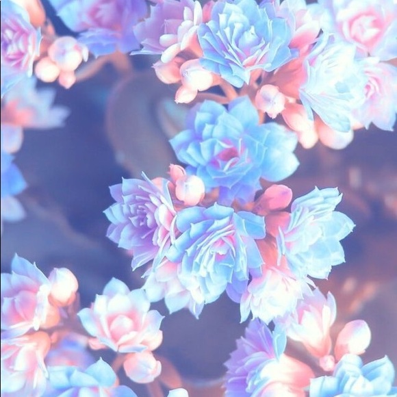 Meet your Posher, Rin - Picture 1 of 1